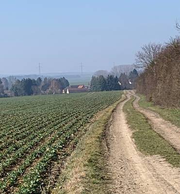 Gem Droyßig - Frühlingswanderung_Am Feldrain aufgelesen 2.jpg